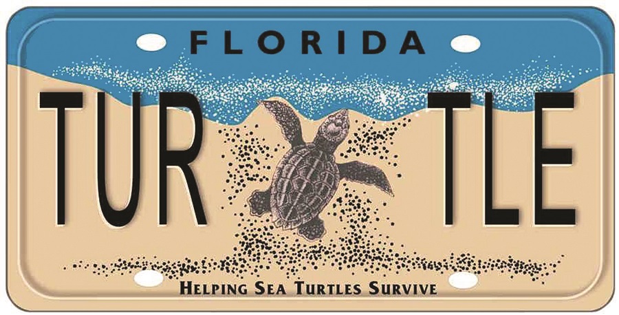 Sea Turtle License Plate