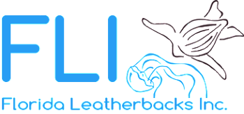 Florida Leatherbacks