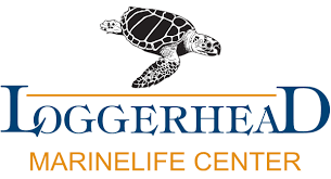 Loggerhead Marinelife Center