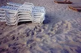 lounge chairs on beach