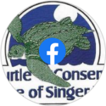 Sea Turtle Conservation League of Singer Island on Facebook